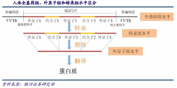 基因測序發(fā)展新態(tài)勢：在上游發(fā)展三四代技術(shù)，在下游完成樣本積累