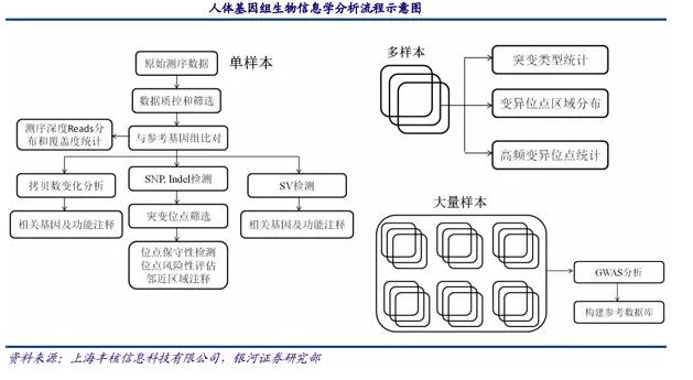 基因測序發(fā)展新態(tài)勢：在上游發(fā)展三四代技術(shù)，在下游完成樣本積累